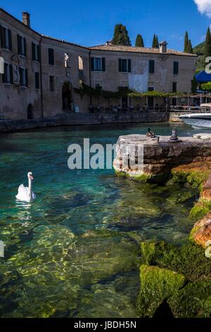 Punta San Vigilio/ Lago di Garda Banque D'Images