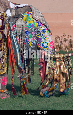 Éléphant mahout et décorée à l'assemblée annuelle du festival de l'éléphant à Jaipur Rajasthan en Inde. Banque D'Images