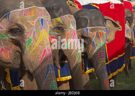 Les éléphants décorés à l'assemblée annuelle du festival de l'éléphant à Jaipur, Rajasthan, Inde. Banque D'Images