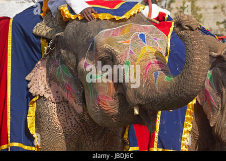 Les éléphants décorés à l'assemblée annuelle du festival de l'éléphant à Jaipur, Rajasthan, Inde. Banque D'Images