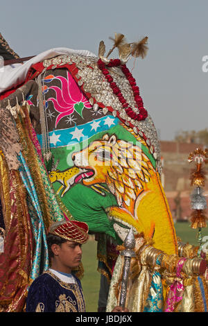 Chef de richement décoré d'un éléphant indien lors de l'assemblée annuelle du festival de l'éléphant à Jaipur, Rajasthan, Inde Banque D'Images