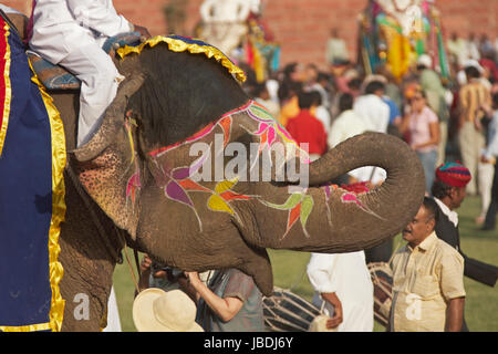 Les éléphants décorés à l'assemblée annuelle du festival de l'éléphant à Jaipur, Rajasthan, Inde. Banque D'Images