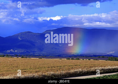 Arc-en-ciel sur le Plateau de Valensole, Alpes de Haute-Provence, Provence, France Banque D'Images