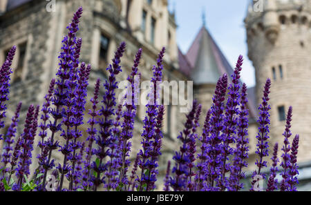 MOSZNA, POLOGNE - June 04, 2017 : Le château de Moszna est un palais historique situé dans un petit village de Moszna est l'un des plus connus monuments de Uppe Banque D'Images