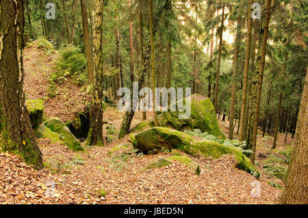 Sandsteinfelsen im Wald - rock de grès dans la forêt 27 Banque D'Images