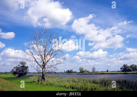 Tour de vélo dans la région de l'Oder, Brandenburg, Allemagne Banque D'Images