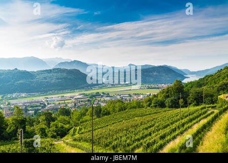 Agno, Suisse. Voir d'Agno, le lac de Lugano, Lugano Airport, des vignes sur les hauteurs, sur une belle journée d'été Banque D'Images
