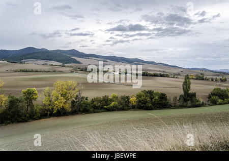 Vue sur les champs de Navarre en Espagne. Banque D'Images