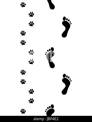 Imprime des Pieds et pattes de chien,motif transparent, vector Banque D'Images