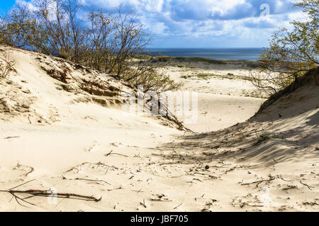 Vue sur la baie de Courlande dans Nida de dune de sable. La lituanie Banque D'Images