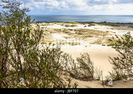 Vue sur la baie de Courlande dans Nida de dune de sable. La lituanie Banque D'Images