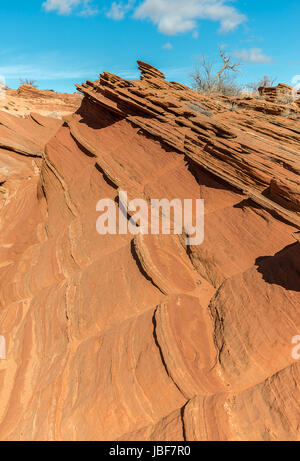 Belle photographie de paysage de la vague en Amérique du Coyote Buttes, Arizona Banque D'Images