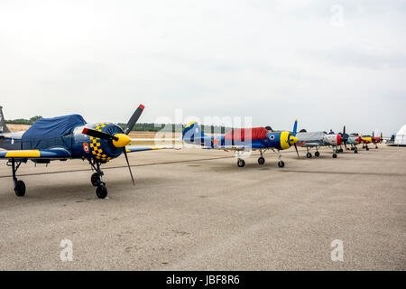 Air show avec avions Yak-52 au Portugal Banque D'Images