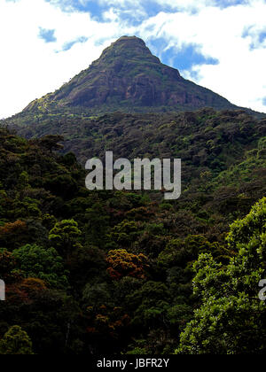 Adam's Peak Mountain au Sri Lanka Banque D'Images