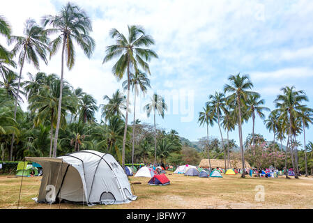 Camping dans un bosquet de palmiers dans le Parc National Tayrona près de Santa Marta, Colombie Banque D'Images