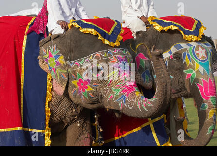 Les éléphants décorés à l'assemblée annuelle du festival de l'éléphant à Jaipur, Rajasthan, Inde. Banque D'Images