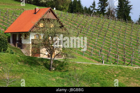 Maison vigneronne en Styrie, Autriche Banque D'Images