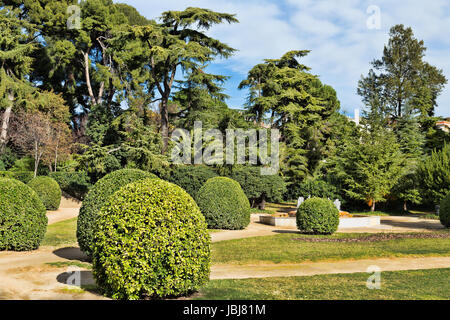 Vert paisible jardin avec une pelouse d'herbe fraîchement tondue. Banque D'Images