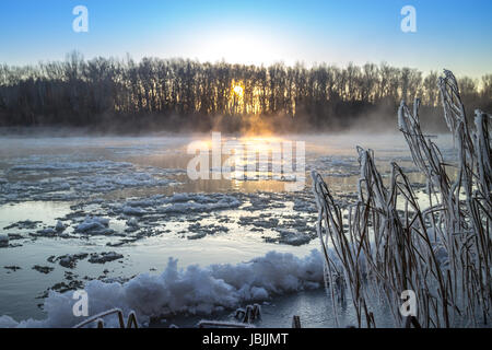 Couverts par les usines de givre blanc sur les rives de la rivière de brouillard et gel Banque D'Images