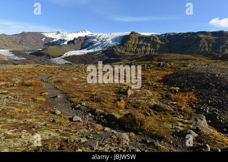 Falljokull Virkisjokull la belle et glaciers dans le Parc National de Vatnajökull, au Sud Est de l'Islande Banque D'Images