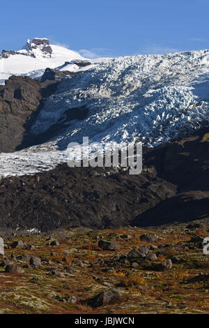 Falljokull Virkisjokull la belle et glaciers dans le Parc National de Vatnajökull, au Sud Est de l'Islande Banque D'Images