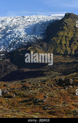 Falljokull Virkisjokull la belle et glaciers dans le Parc National de Vatnajökull, au Sud Est de l'Islande Banque D'Images