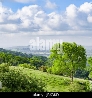 La vue depuis le haut de Cheddar Gorge dans le Somerset, à l'échelle du Somerset Levels vers Tor de Glastonbury, comme vu au cours de la gorge à pied. Banque D'Images