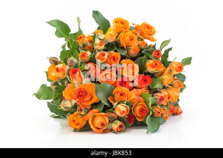 Bouquet de roses orange isolé sur blanc. Banque D'Images