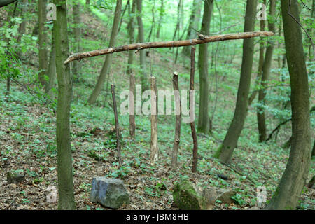 Carillons de vent en bois dans la forêt Banque D'Images