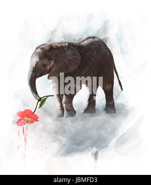 Jeune éléphant avec fleur rouge. Aquarelle Peinture numérique Banque D'Images