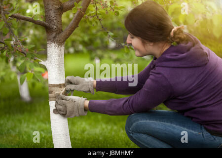 Portrait de jeune femme bande de liage sur l'écorce des arbres pour empêcher les insectes Banque D'Images