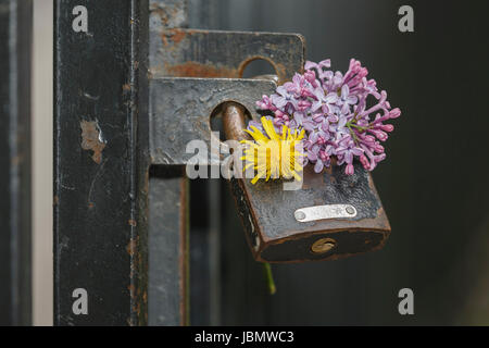 Ancien cadenas. Banque D'Images