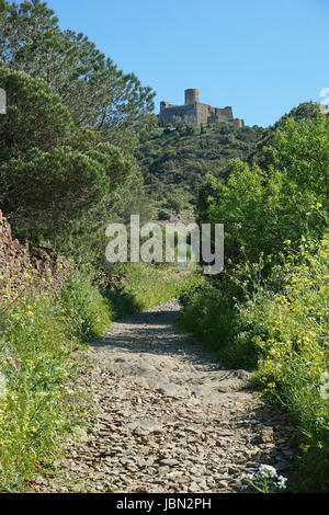 Chemin menant à une ancienne fortification et le Fort Saint Elme en haut de la colline, de la Méditerranée, Collioure, Pyrénées Orientales, Roussillon, France Banque D'Images