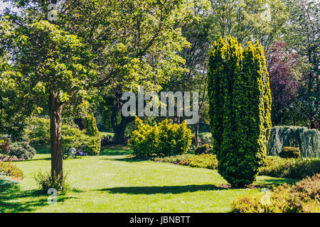 DUBLIN, IRLANDE - 10 juin 2017 : détail de Merrion Square Park dans le centre-ville de Dublin Banque D'Images