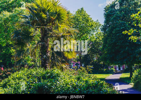 DUBLIN, IRLANDE - 10 juin 2017 : détail de Merrion Square Park dans le centre-ville de Dublin Banque D'Images