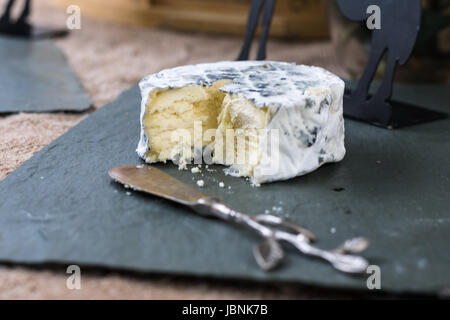 Photo horizontale d'une ronde de fromage gastronomique sur un plateau de service en pierre grise avec un couteau à fromage en acier inoxydable Banque D'Images