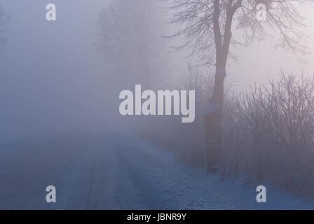 Arbres et route dans le brouillard en hiver Banque D'Images