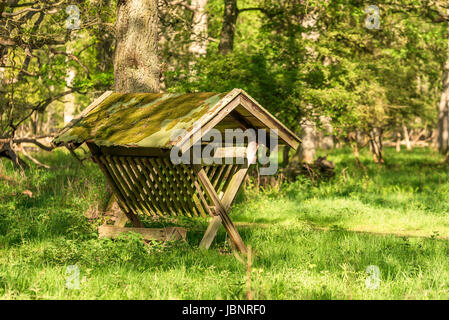 Vide Station d'alimentation pour les cerfs et le bétail dans la forêt. Banque D'Images