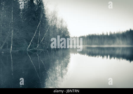 Paysage brumeux avec de l'humeur maussade et lac à photo aux tons Banque D'Images