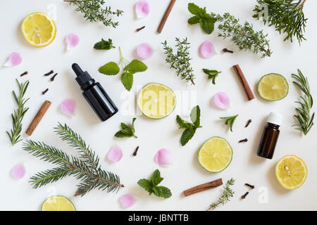 Sélection d'huiles essentielles et d'herbes sur un fond blanc - menthe, lime, citron, mélisse, thym, romarin, cannelle, trèfle, thuja, pétales de rose Banque D'Images