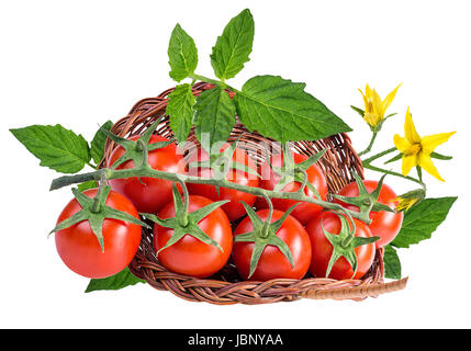 {} Tomate tomates cerises isolé sur fond blanc Banque D'Images