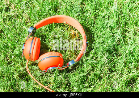 De couleur orange vif d'un casque filaire sur pelouse verte fraîche sward Banque D'Images