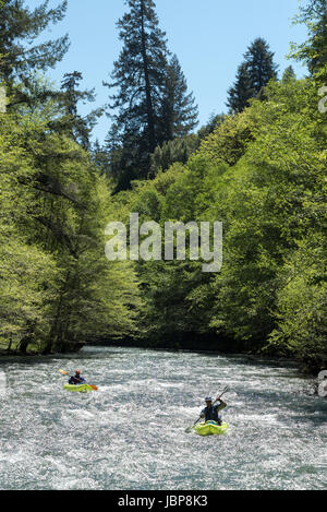 Paddling kayaks gonflables bas Redwood Creek en Californie du Nord. Banque D'Images