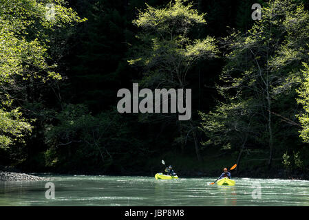 Paddling kayaks gonflables bas Redwood Creek en Californie du Nord. Banque D'Images