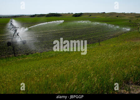 Système d'irrigation à pivot central l'arrosage des cultures.au Dakota du Nord. Banque D'Images