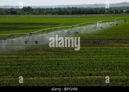Système d'irrigation à pivot central l'arrosage des cultures.au Dakota du Nord. Banque D'Images