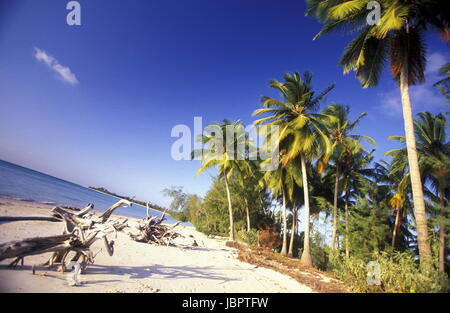 Ein Traumstrand bei der une Ostkuester Bwejuu Zanzibar oestlich von der Insel im Indischen Ozean Tanzanie. Banque D'Images