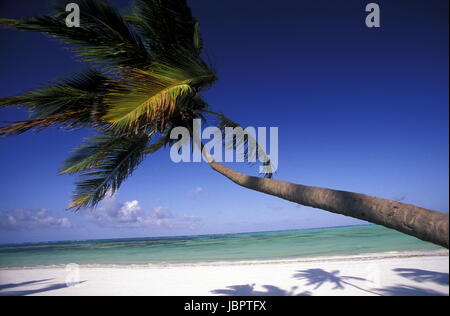 Ein Traumstrand bei der une Ostkuester Bwejuu Zanzibar oestlich von der Insel im Indischen Ozean Tanzanie. Banque D'Images