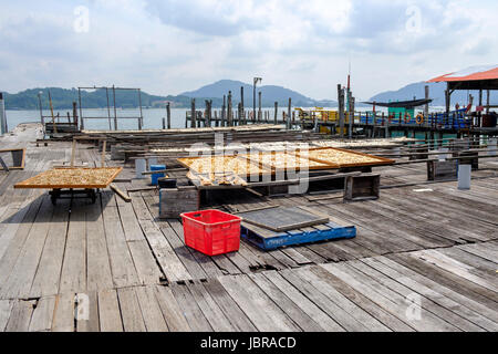 Le séchage du poisson au soleil sur une terrasse en bois à une pêche sur l'île de Pangkor (Pulau Pangkor, Malaisie). Banque D'Images