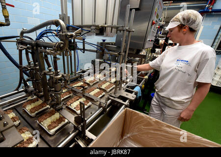 Le volume des ventes au détail de paniers-ice cream a progressé de 2 pour cent à Kc3.03bn à partir de mai 2016 jusqu'à la fin d'avril 2017 mais le montant de la vente de la crème glacée a chuté de 2,7 pour cent à 34,1 millions de litres, selon les données de Nielsen Company CTK. Marque de crème glacée de la société de production Prima Bidfood dans Opava, République tchèque, le 7 juin, 2017. (Photo/CTK Jaroslav Ozana) Banque D'Images